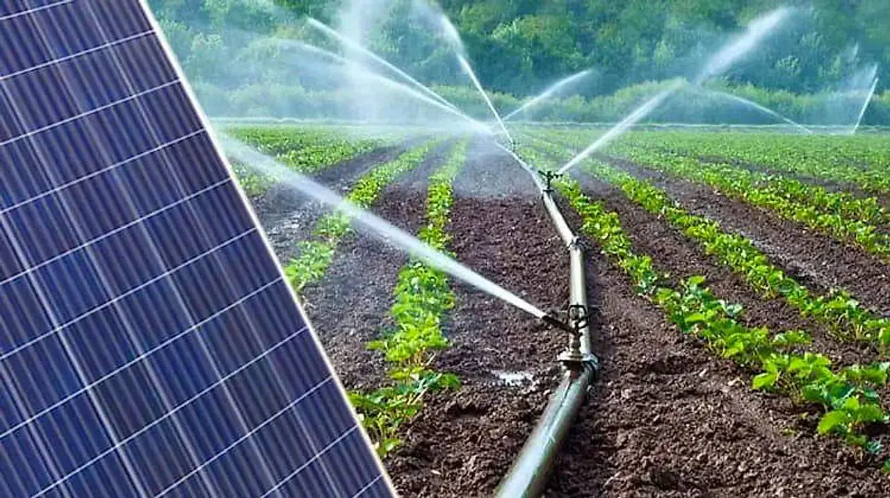 Aspersores em funcionamento num sistema de rega solar