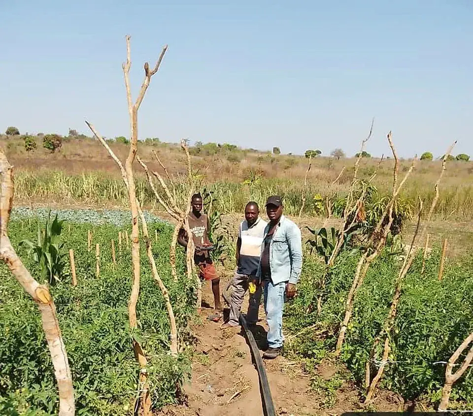 Visita técnica ao campo agrícola, antes da instalação